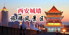 干的穴水直流中国陕西-西安城墙旅游风景区